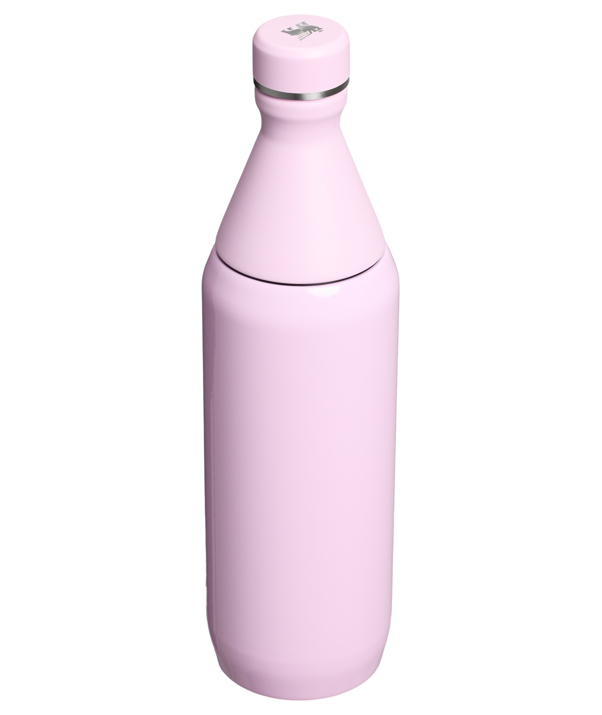 Garrafa Térmica Slim Bottle Cherry Blossom | 591ml