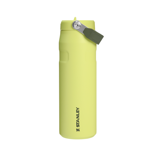 Garrafa Térmica Aerolight Flip Straw Prickly Pear  | 710ml